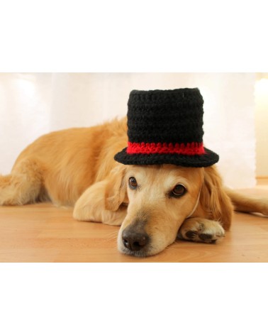 Classic Top Hat Crochet Dog Hat