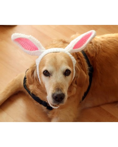 Bunny Ears Crochet Dog Hat