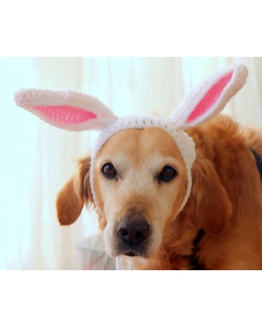 Bunny Ears Crochet Dog Hat