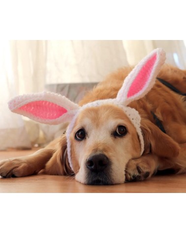 Bunny Ears Crochet Dog Hat