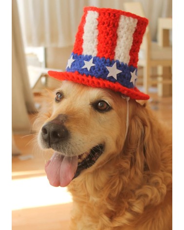 Patriotic Uncle Sam Crochet Dog Top Hat