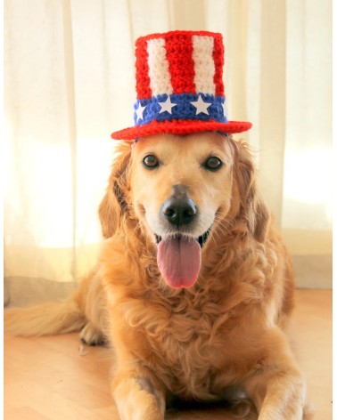 Patriotic Uncle Sam Crochet Dog Top Hat