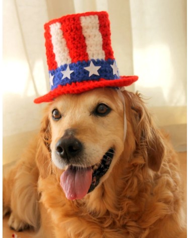 Patriotic Uncle Sam Crochet Dog Top Hat
