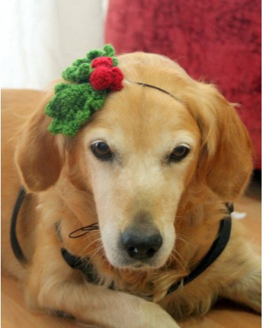 Christmas Holly Crochet Dog Headband1