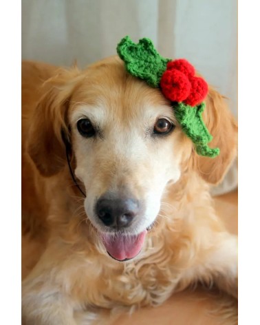Christmas Holly Crochet Dog Headband1
