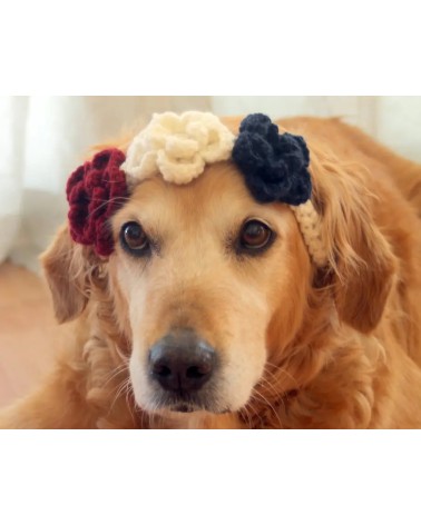 Patriotic Floral Crochet Dog Flower Crown