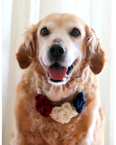 Patriotic Floral Crochet Dog Flower Crown