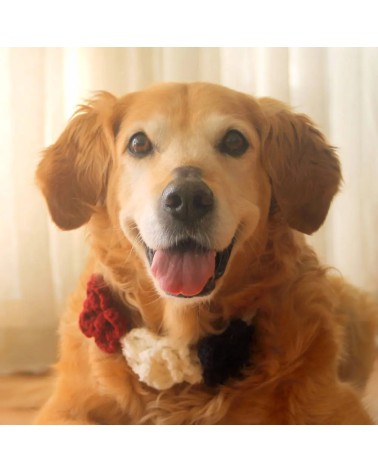 Patriotic Floral Crochet Dog Flower Crown
