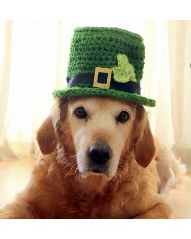 Patrick's Day shamrock pattern dog hat