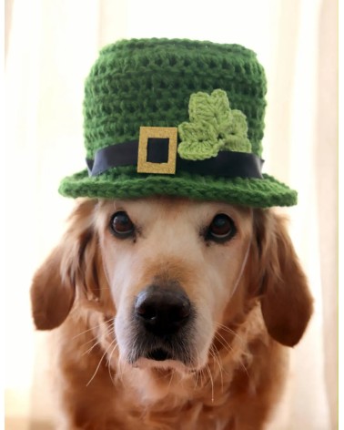 Patrick's Day shamrock pattern dog hat