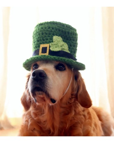 Patrick's Day shamrock pattern dog hat