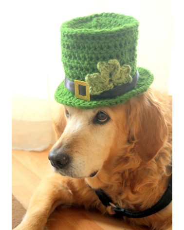 Patrick's Day shamrock pattern dog hat