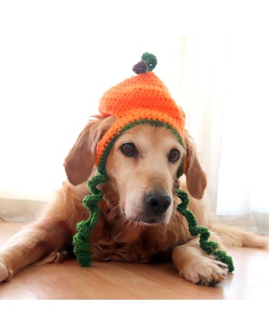 Pumpkin Crochet Dog Hat