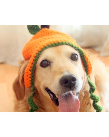 Pumpkin Crochet Dog Hat
