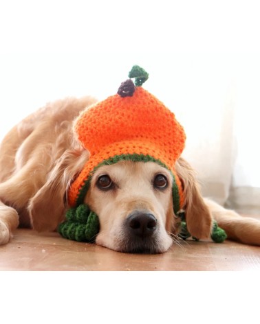 Pumpkin Crochet Dog Hat