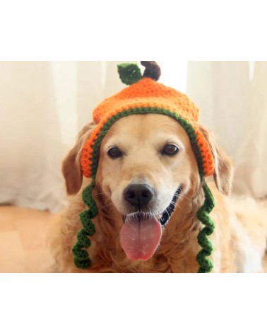 Pumpkin Crochet Dog Hat