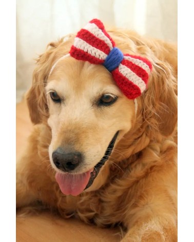 Patriotic Crochet Dog Bow Headband