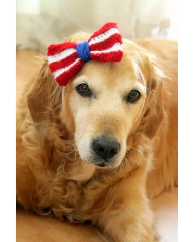 Patriotic Crochet Dog Bow Headband