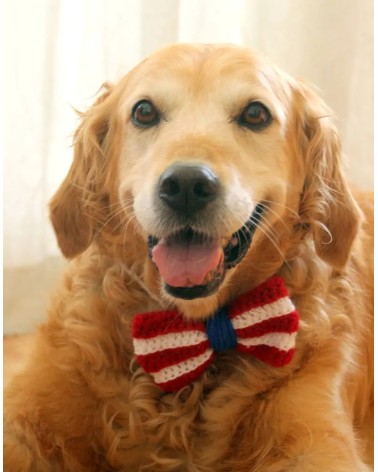 Patriotic Crochet Dog Bow Headband