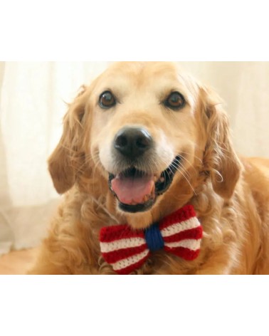 Patriotic Crochet Dog Bow Headband