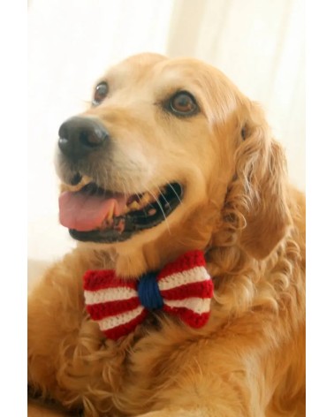 Patriotic Crochet Dog Bow Headband