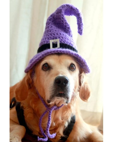 Purple Crochet Witch Hat for Dogs