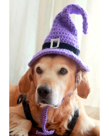Purple Crochet Witch Hat for Dogs
