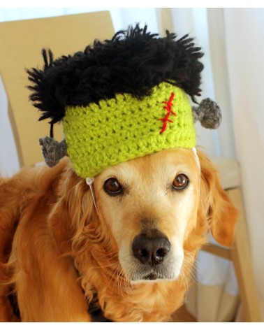 Frankenstein Crochet Dog Hat