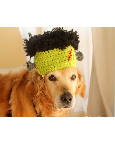 Frankenstein Crochet Dog Hat
