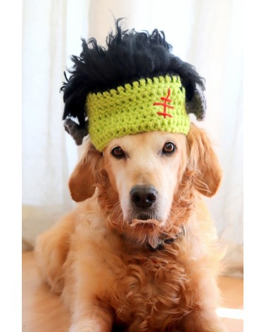 Frankenstein Crochet Dog Hat
