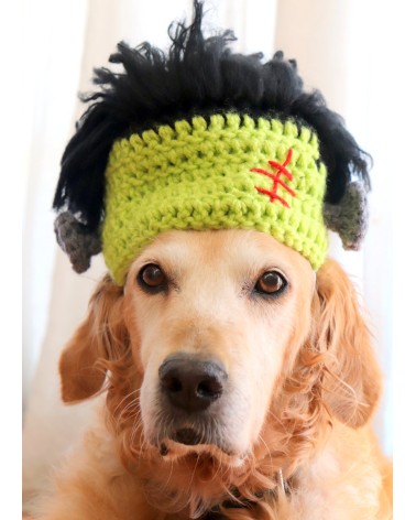 Frankenstein Crochet Dog Hat