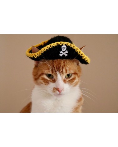 Cute little pirate hat