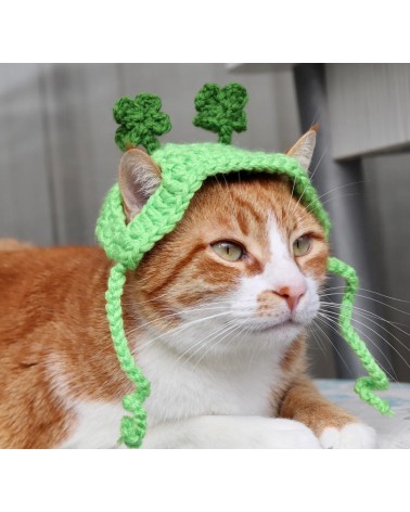Patrick’s Day Shamrock Cat Hat