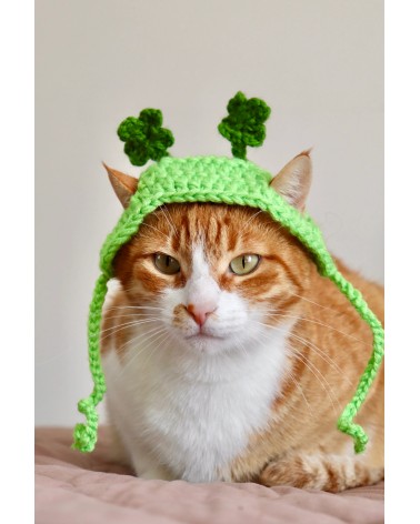 Patrick’s Day Shamrock Cat Hat