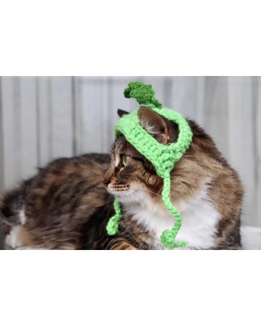Patrick’s Day Shamrock Cat Hat