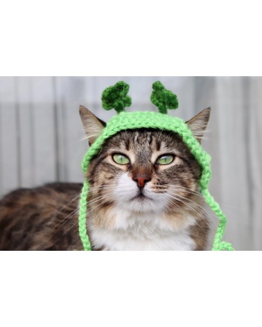Patrick’s Day Shamrock Cat Hat