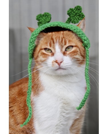 Patrick’s Day Shamrock Cat Hat