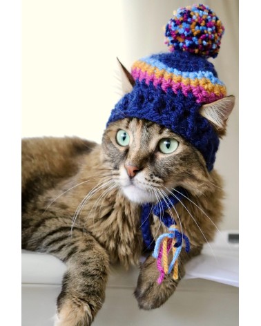 Pom-Pom Crochet Cat Hat