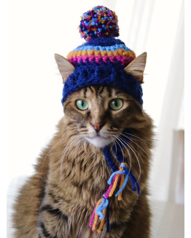 Pom-Pom Crochet Cat Hat