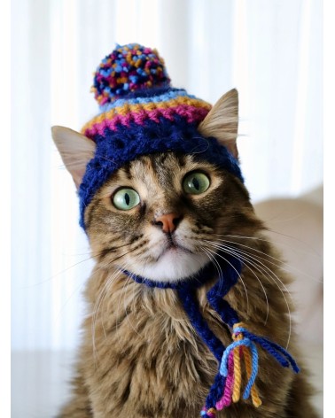 Pom-Pom Crochet Cat Hat