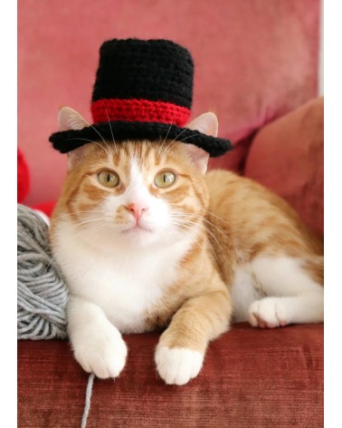 Classic Top Hat for Cats