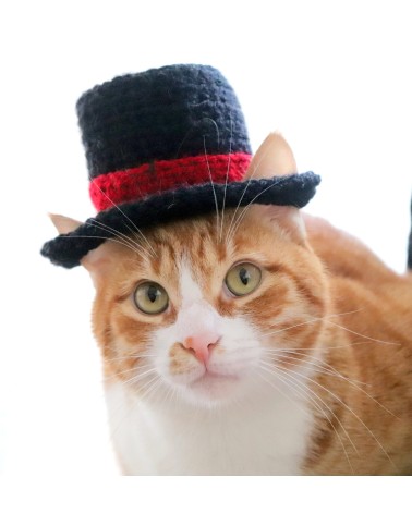 Classic Top Hat for Cats