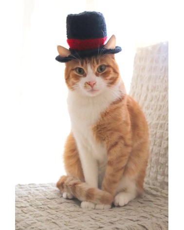 Classic Top Hat for Cats