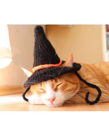 Black Crochet Witch Hat for Cats