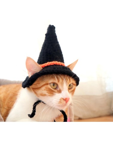 Black Crochet Witch Hat for Cats