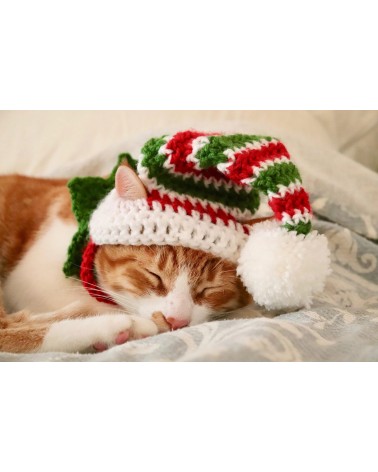 Christmas Elf Crochet Cat Hat