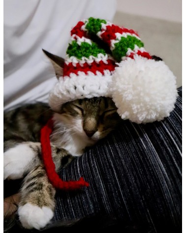 Christmas Elf Crochet Cat Hat