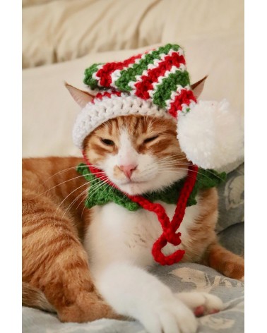 Christmas Elf Crochet Cat Hat