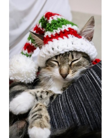 Christmas Elf Crochet Cat Hat
