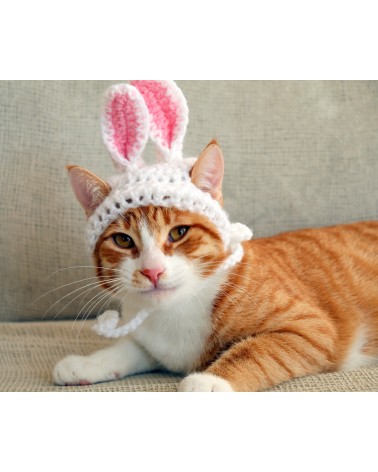 Bunny Ears Crochet Cat Hat